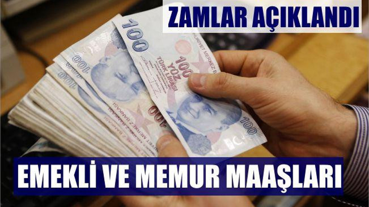 2018'DE KİM NE KADAR MAAŞ ALACAK?