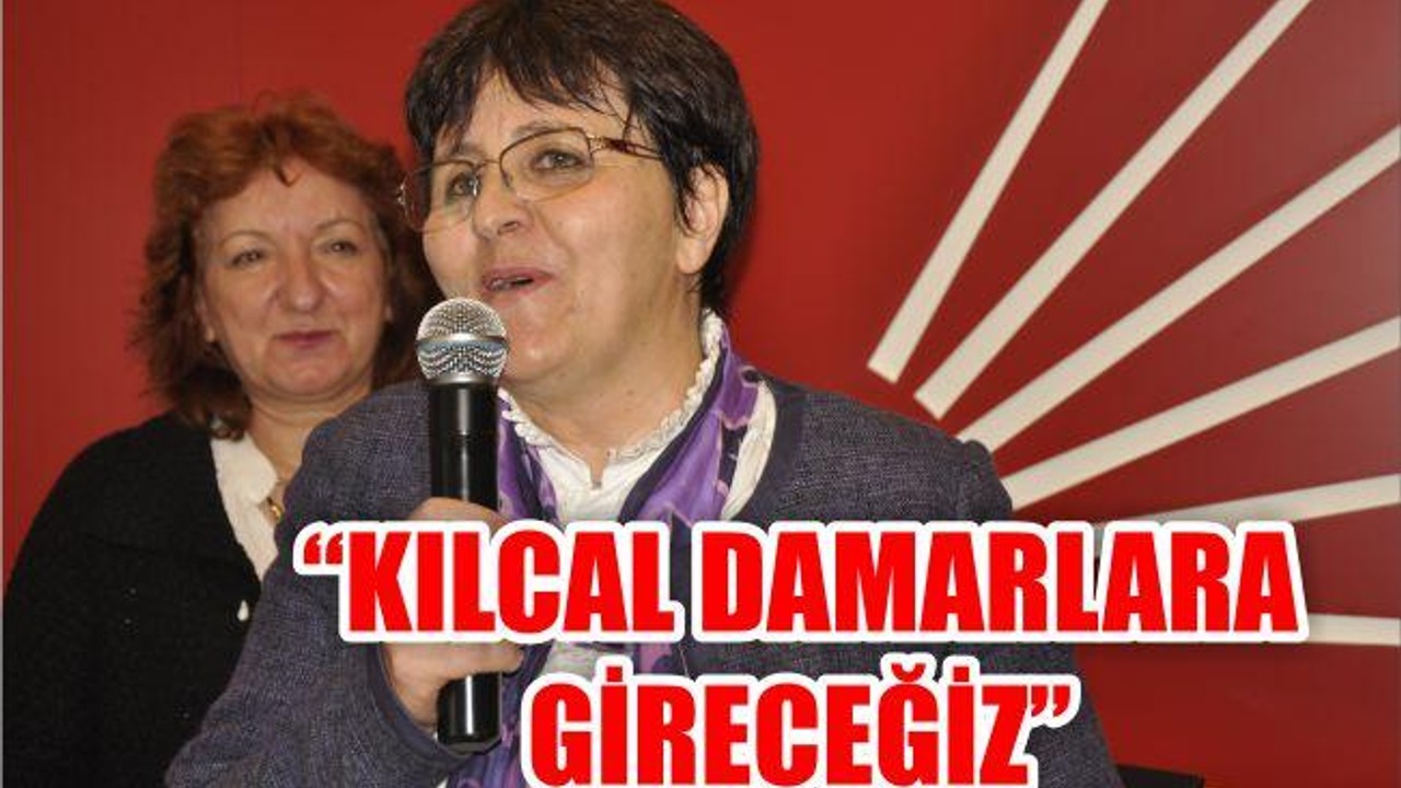 ŞENER ‘’KILCAL DAMARLARA GİRECEĞİZ’’