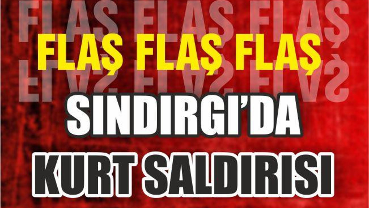 SINDIRGI’DA KURT SALDIRISI