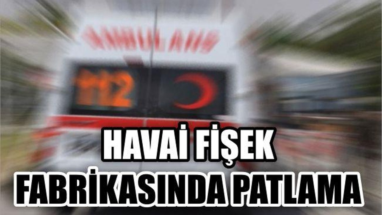 OLAY YERİNE KURTARMA EKİBİ SEVK EDİLDİ