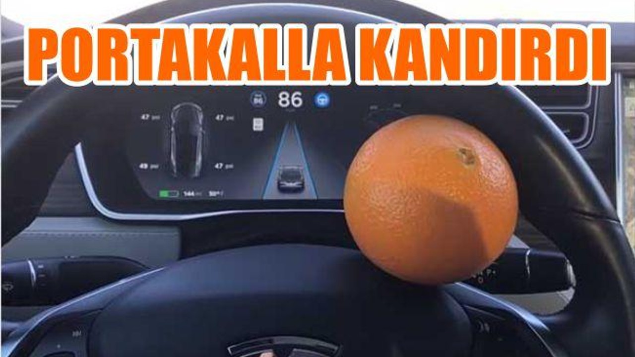 PORTAKALLA KANDIRDI