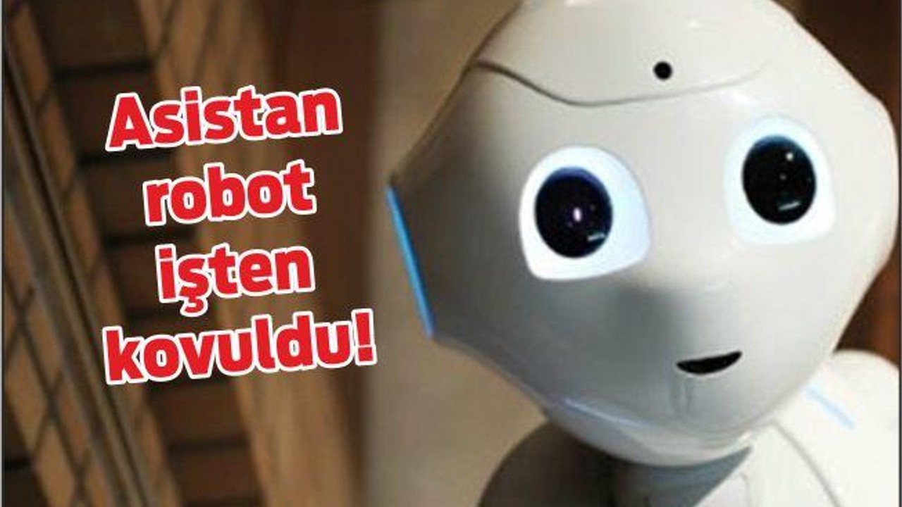 Asistan robot işten kovuldu! İşte kovulan ilk robot Fabio