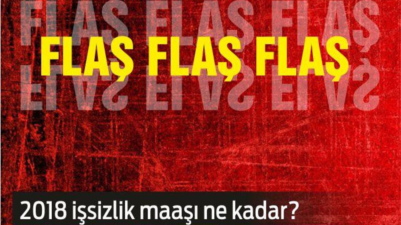 2018 işsizlik maaşı ne kadar ?