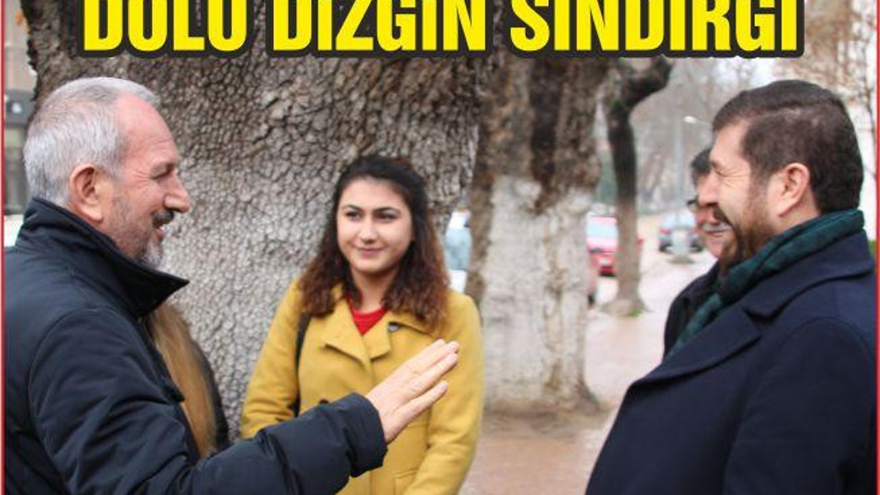 DOLU DİZGİN SINDIRGI