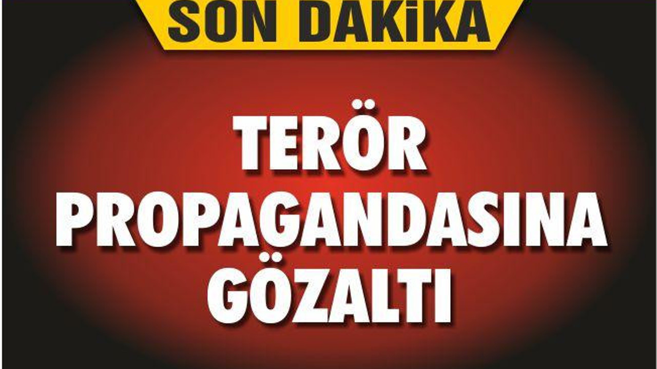 TERÖR PROPAGANDASINA GÖZALTI