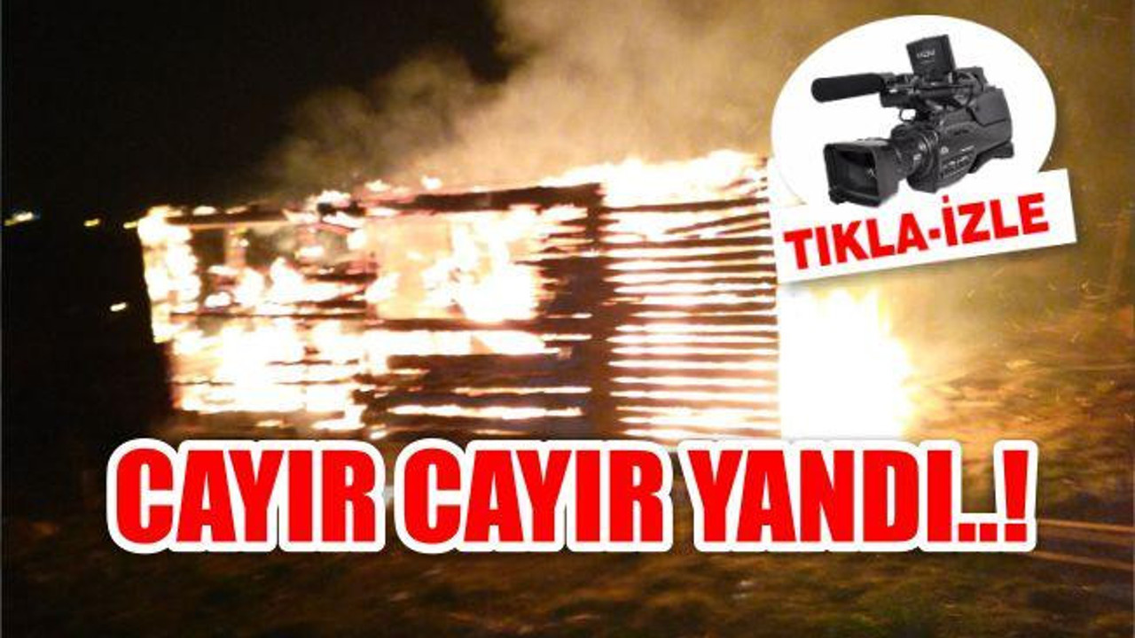 CAYIR CAYIR YANDI !