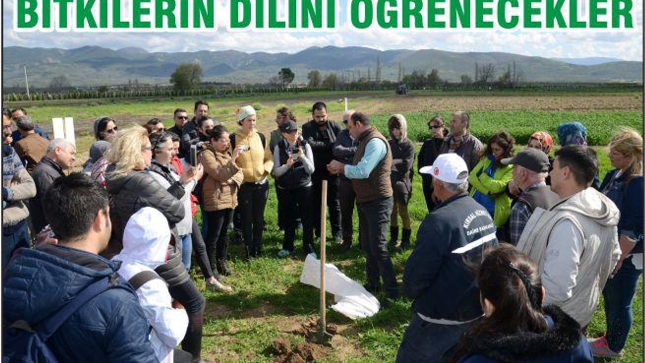 BİTKİLERİN DİLİNİ ÖĞRENECEKLER
