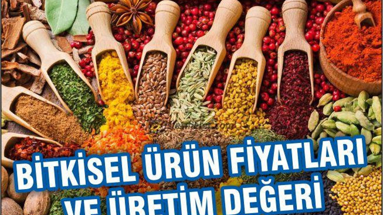 Bitkisel Ürün Fiyatları ve Üretim Değeri..