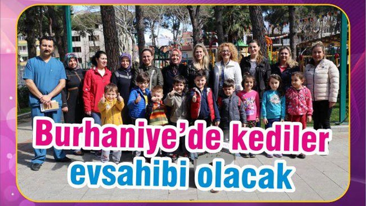 BURHANİYE’DE KEDİLER EV SAHİBİ OLDU
