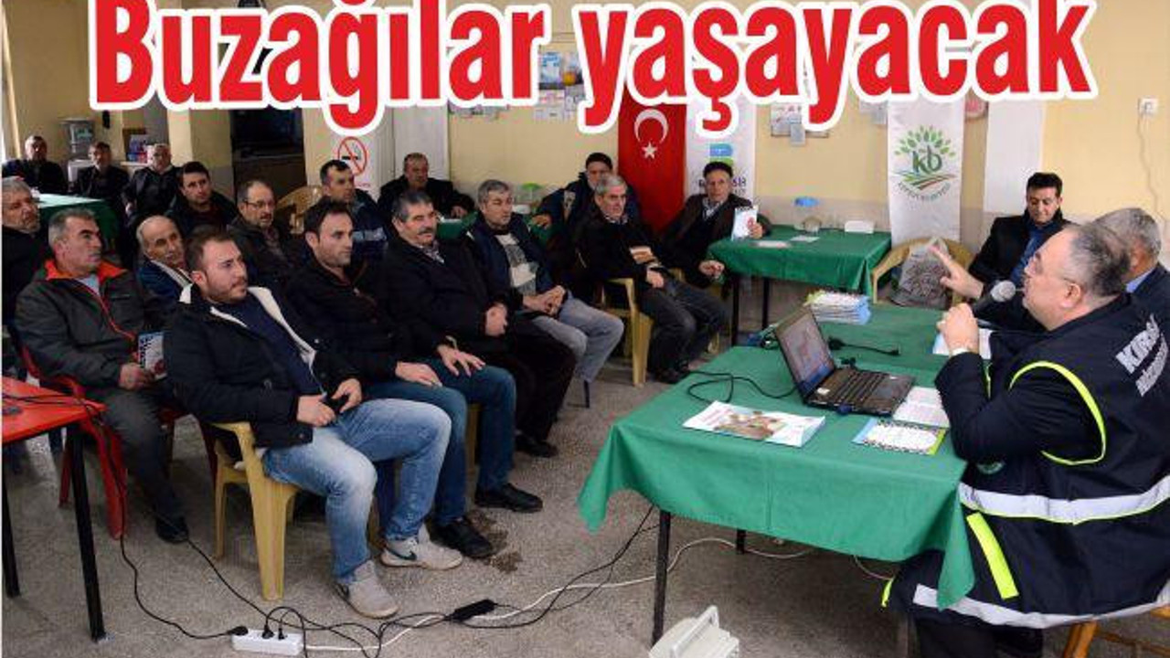 BUZAĞILAR YAŞAYACAK