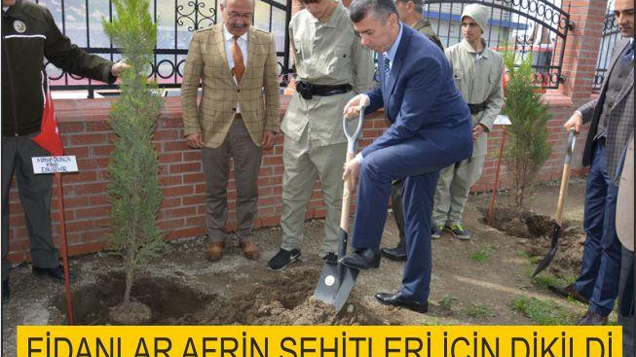 FİDANLAR AFRİN ŞEHİTLERİMİZ İÇİN