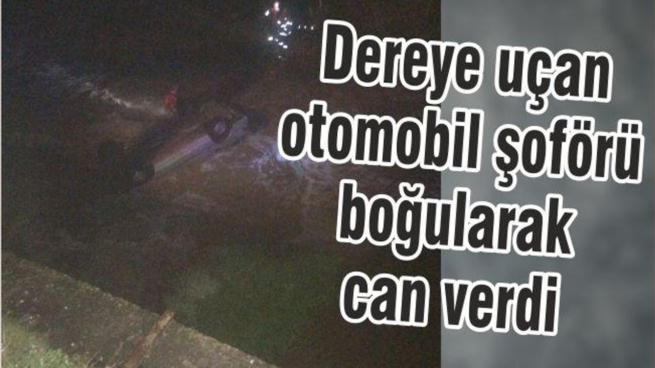 OTOMOBİLİYLE KÖPRÜDEN DEREYE UÇTU, BOĞULARAK ÖLDÜ