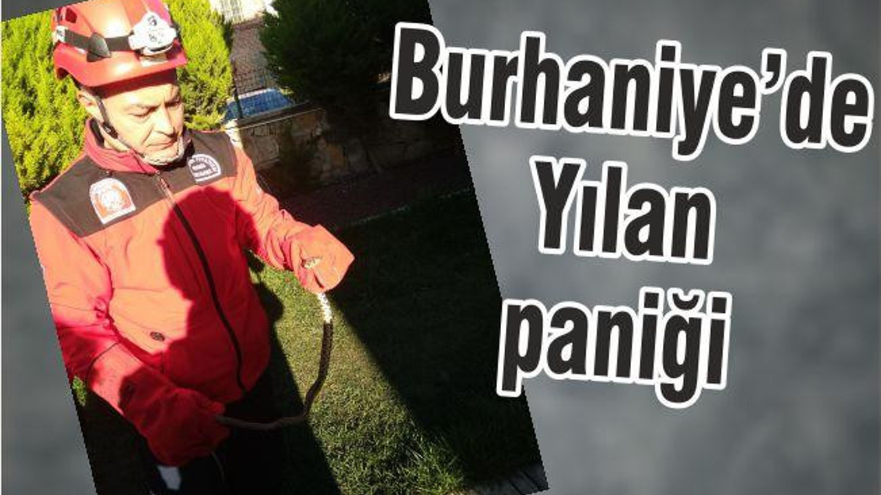 YILAN PANİĞİ !