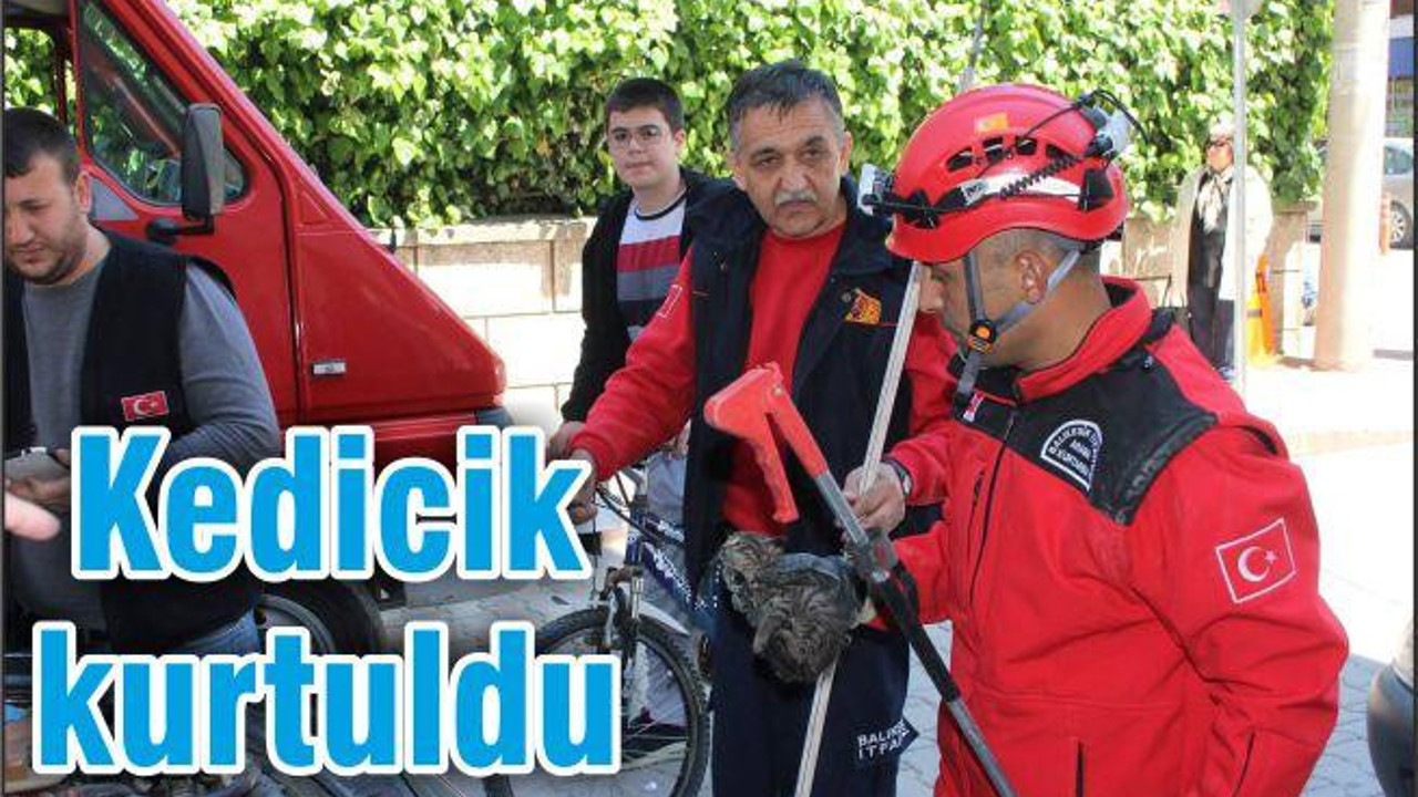 KEDİCİK KURTULDU