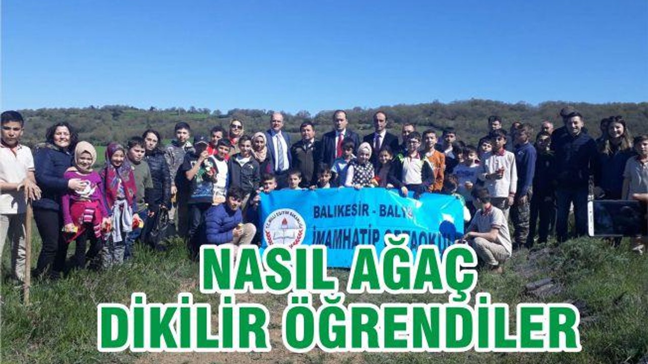 NASIL AĞAÇ DİKİLİR ÖĞRENDİLER