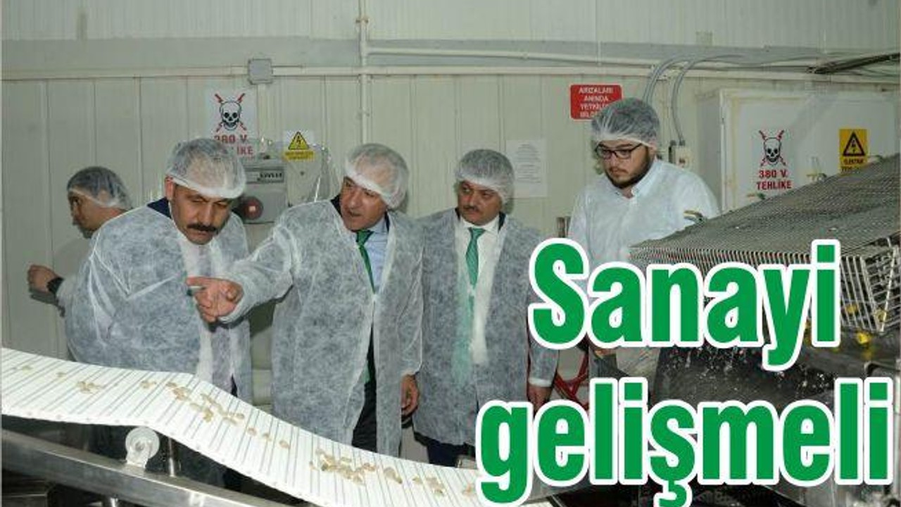 SANAYİ GELİŞMELİ