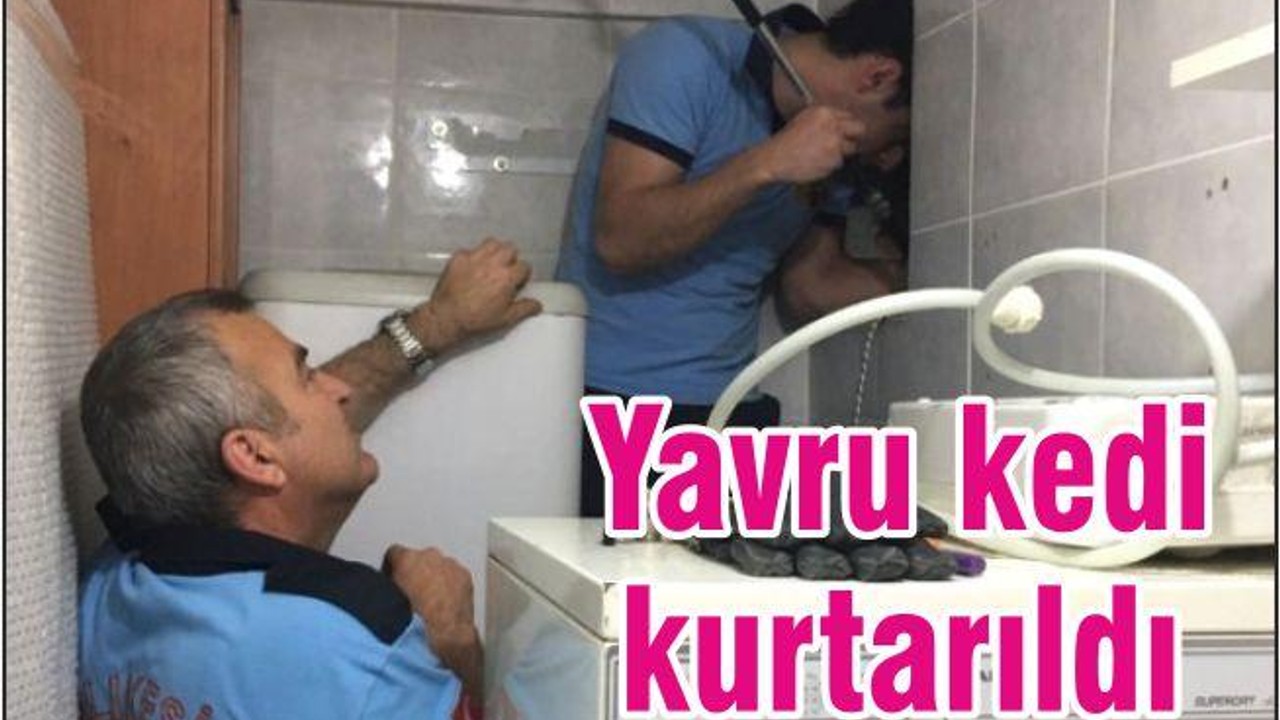 YAVRU KEDİ KURTARILDI