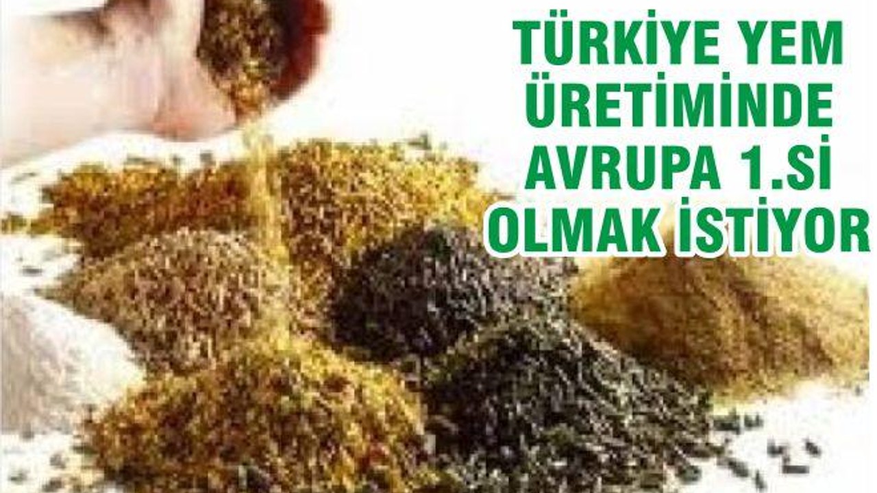 13. Uluslararası Yem Kongresi