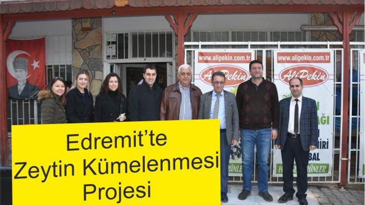 EDREMİT’TE ZEYTİN KÜMELENMESİ PROJESİ