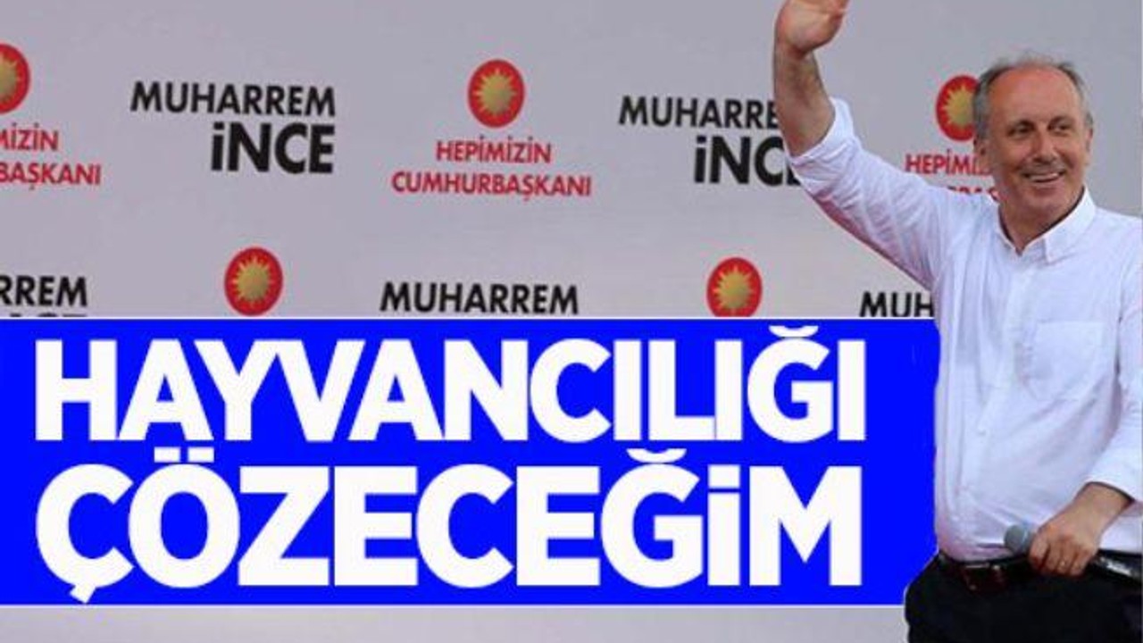 İNCE”TÜRKİYEYİ KURTARACAĞIZ”