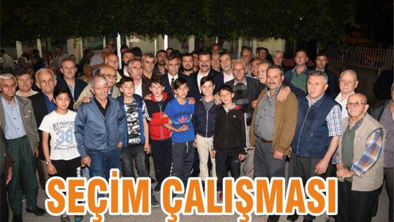 SEÇİM ÇALIŞMASI