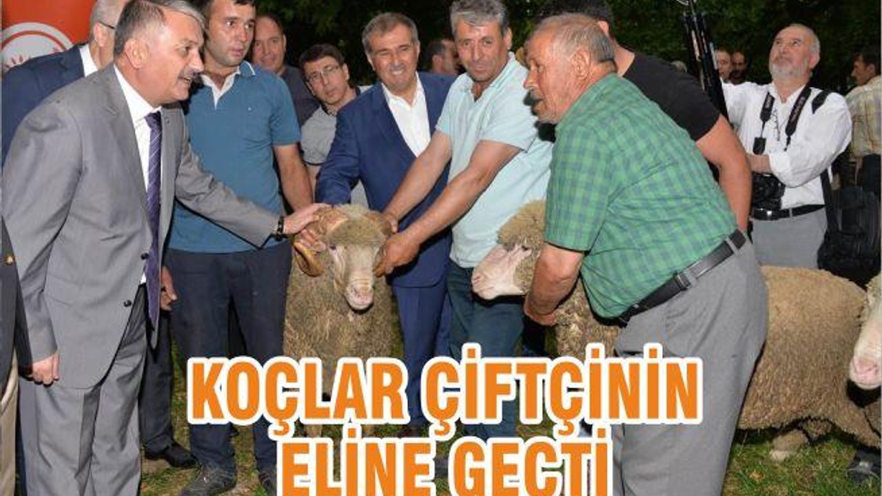 KOÇ’LAR ÇİFTÇİ’NİN ELİNE GEÇTİ
