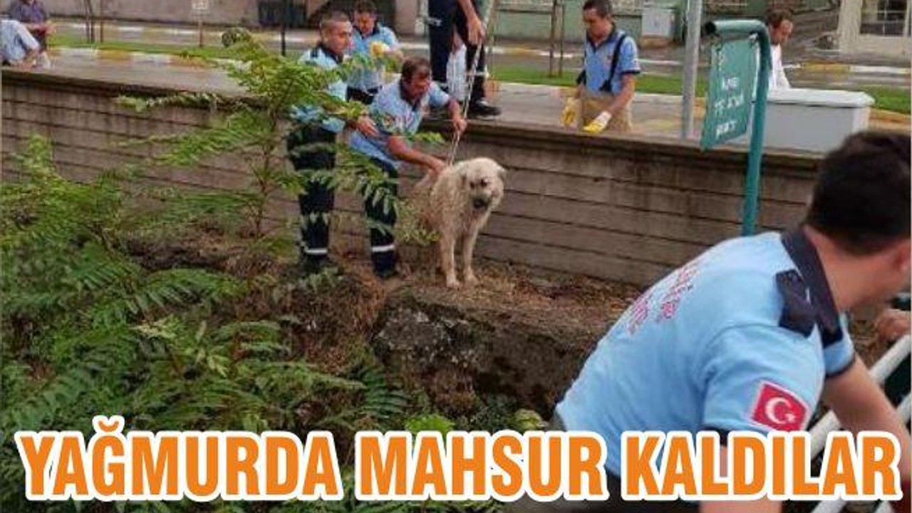 YAĞMURDA MAHSUR KALDILAR