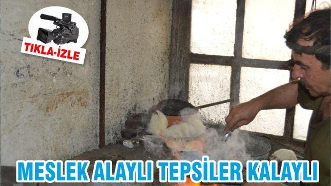 MESLEK ALAYLI TEPSİLER KALAYLI
