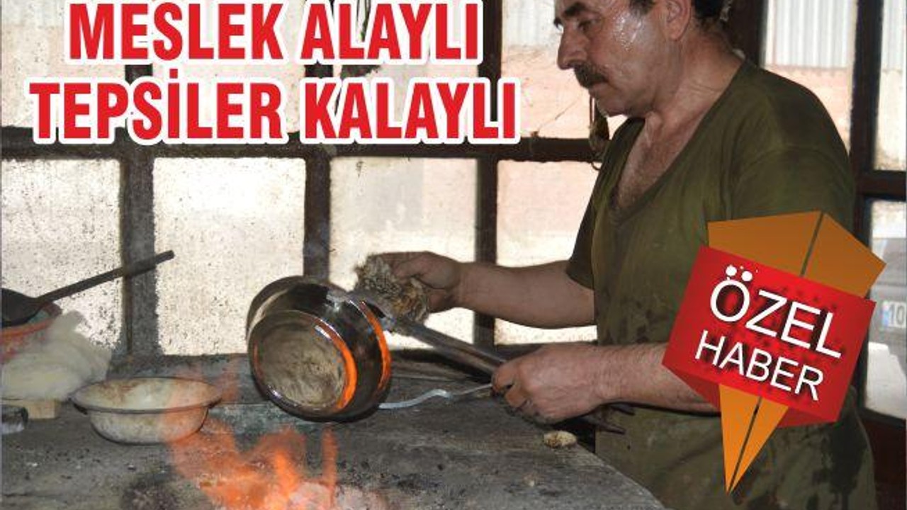 MESLEK ALAYLI TEPSİLER KALAYLI