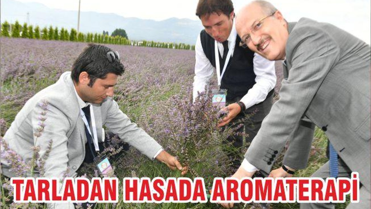 TARLADAN HASADA AROMATERAPİ