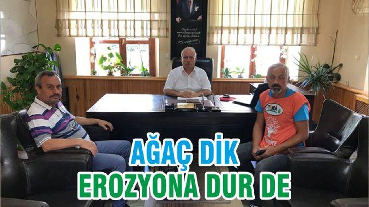 AĞAÇ DİK EROZYONA DUR DE