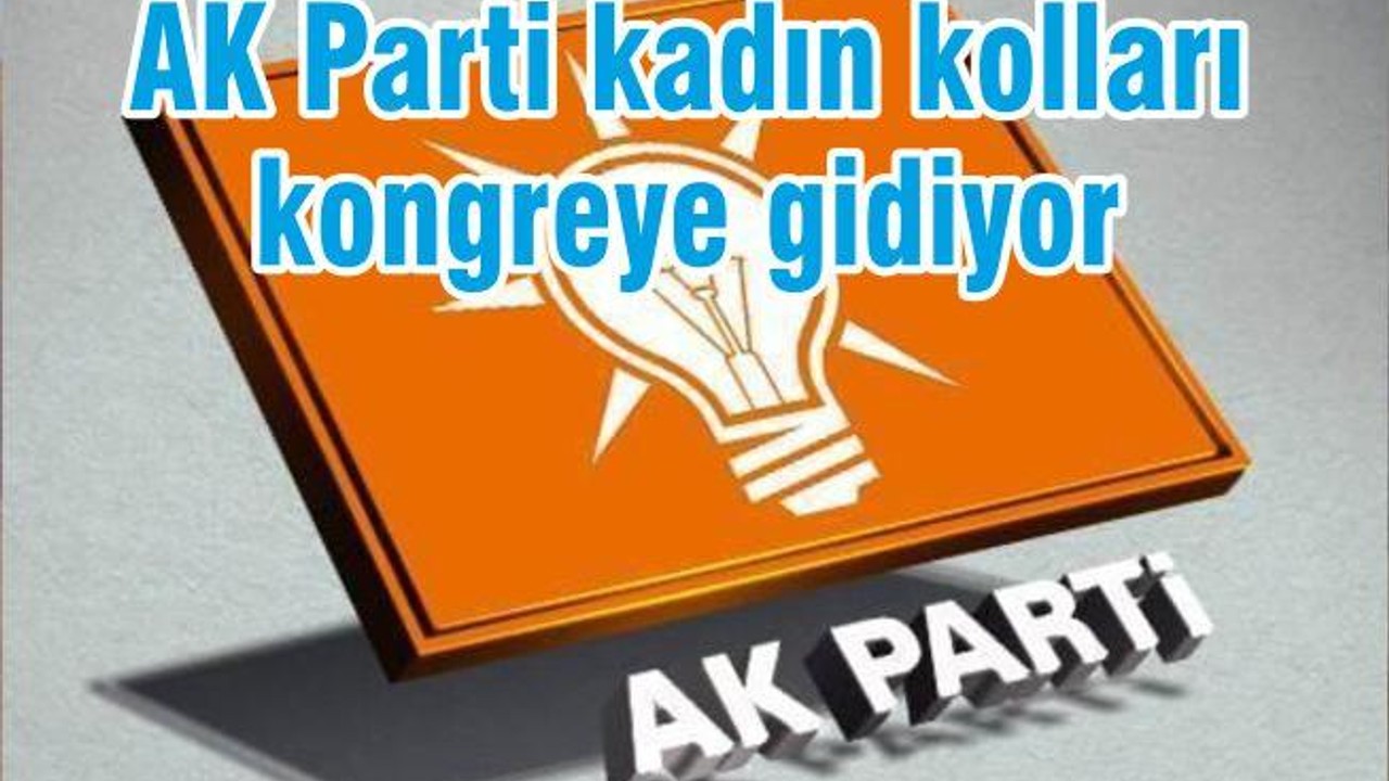 AK Parti kadın kolları kongreye gidiyor