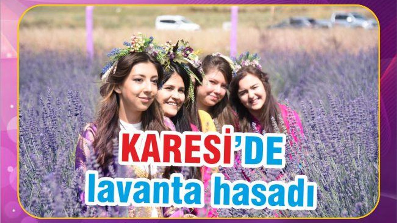 KARESİ’DE LAVANTA HASADI