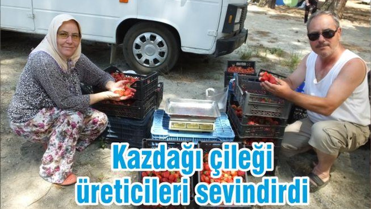 Kazdağı çileği üreticileri sevindirdi