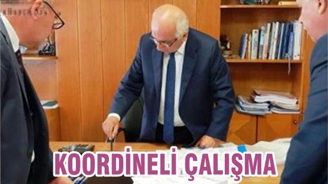 KOORDİNELİ ÇALIŞMA