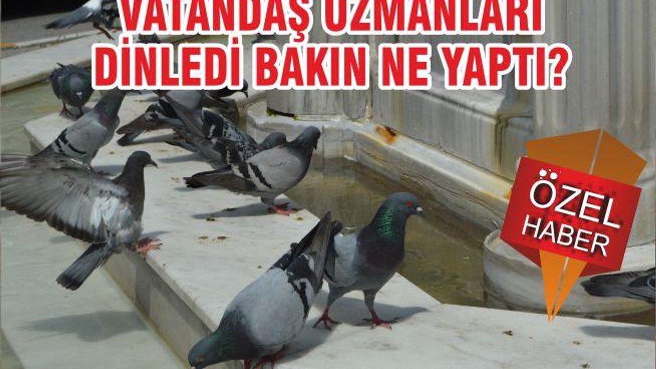 VATANDAŞ UZMANLARI DİNLEDİ BAKIN NE YAPTI?