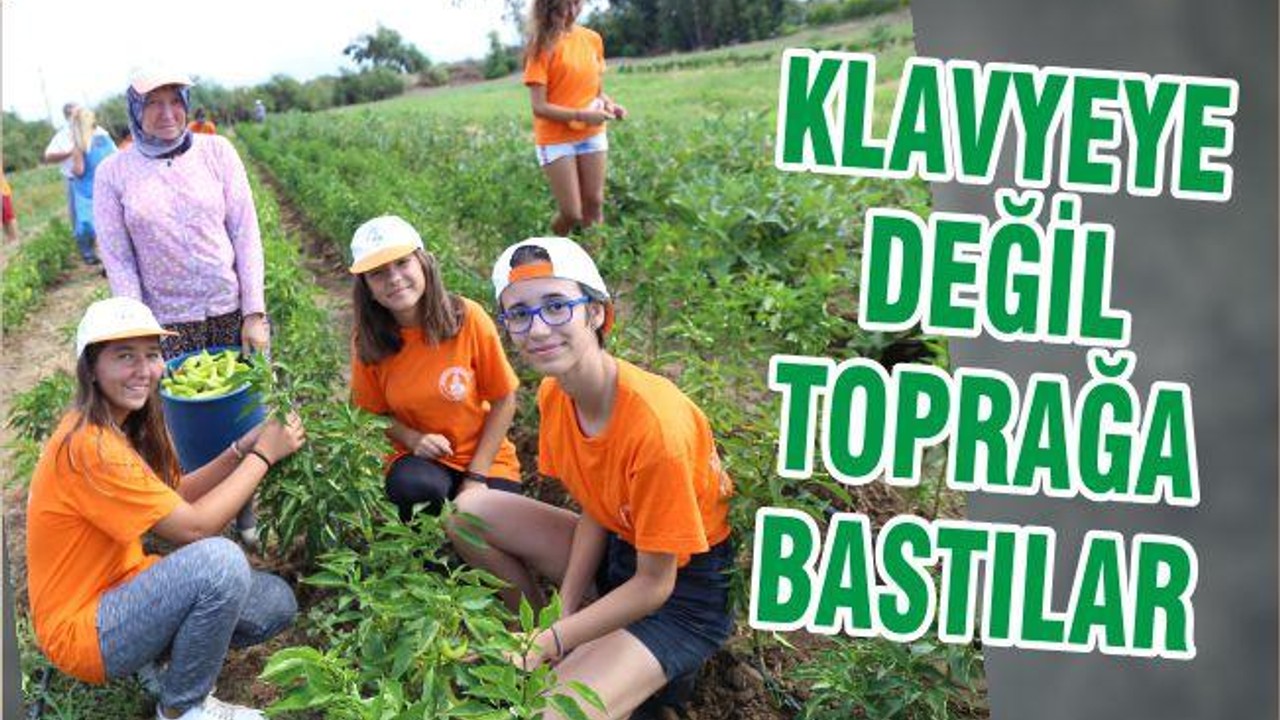 KLAVYEYE DEĞİL TOPRAĞA BASTILAR