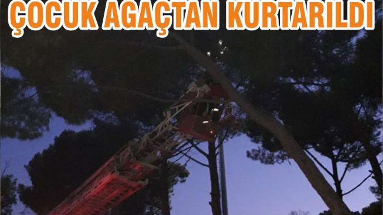 ÇOCUK AĞAÇTAN KURTARILDI