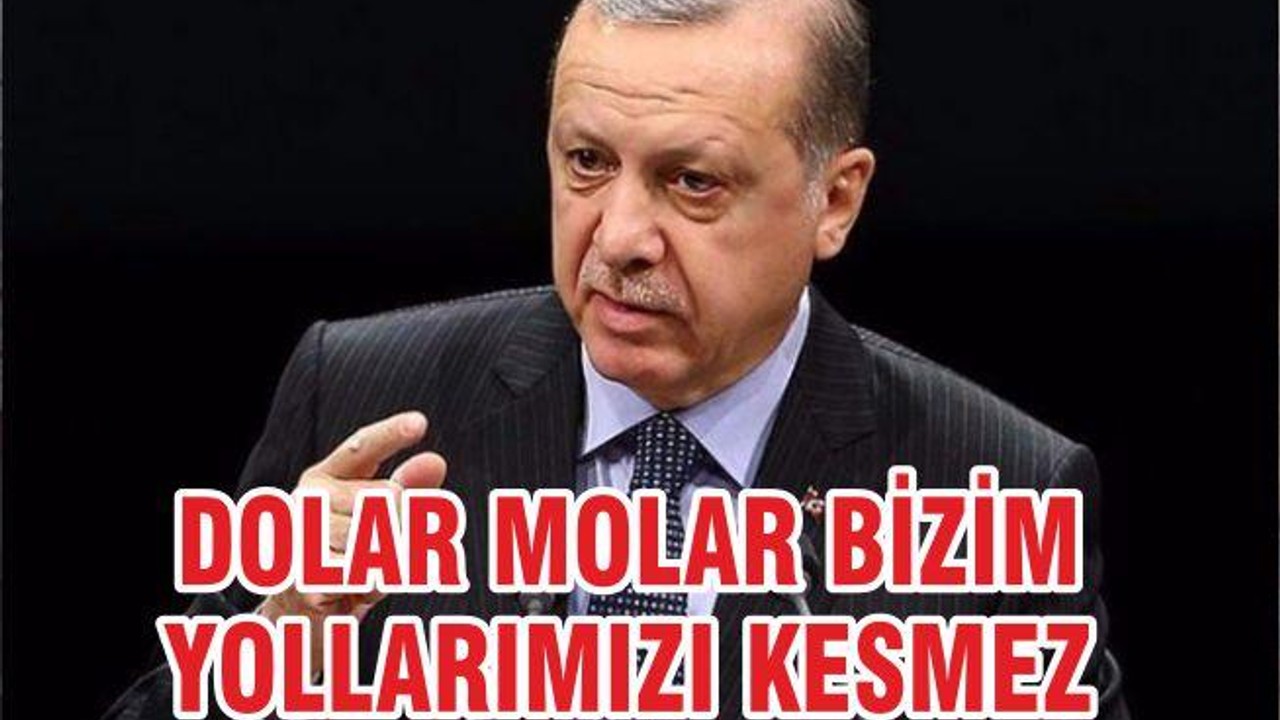 DOLAR MOLAR BİZİM YOLLARIMIZI KESMEZ