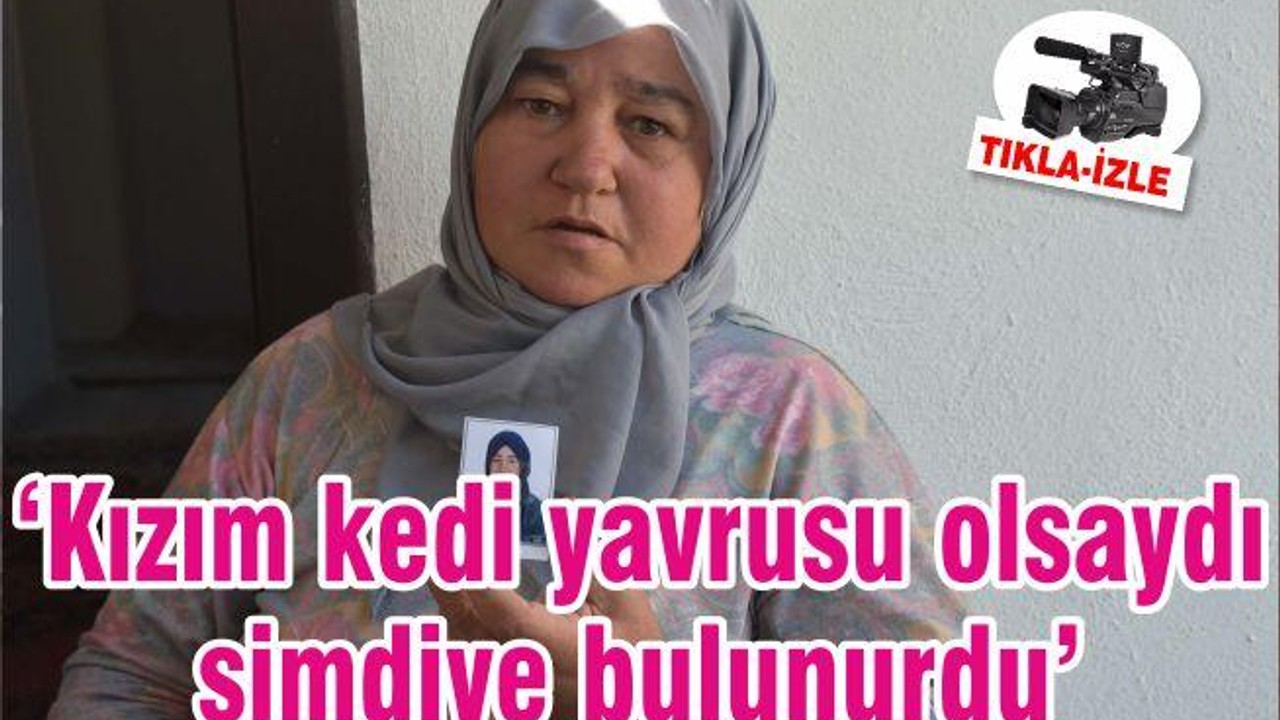 ‘Kızım kedi yavrusu olsaydı şimdiye bulunurdu’