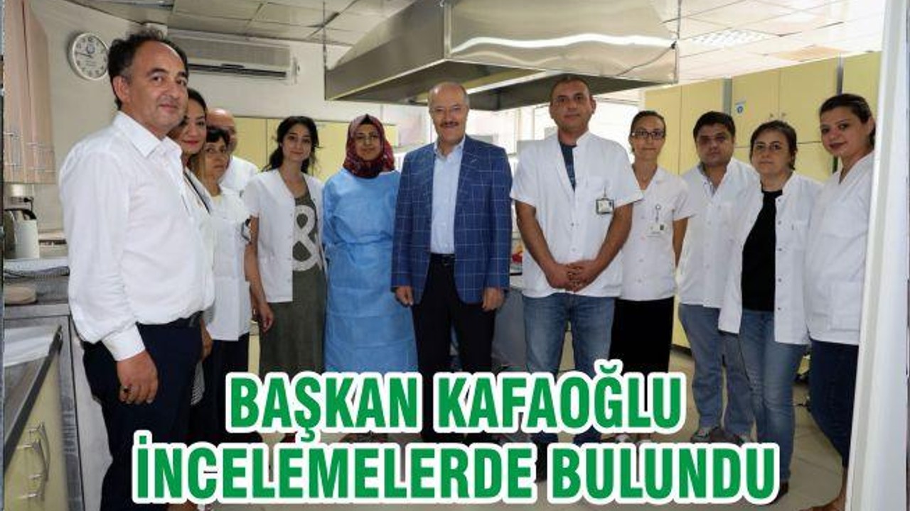 BAŞKAN KAFAOĞLU İNCELEMELERDE BULUNDU