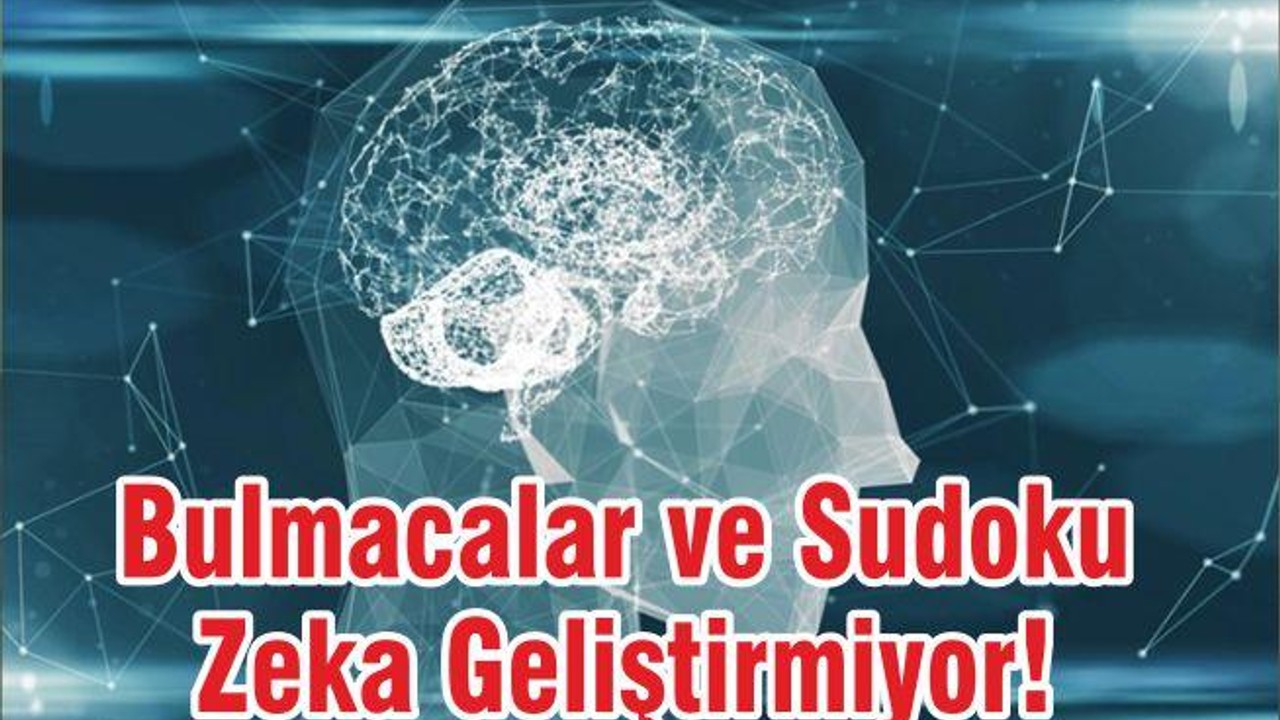 Bulmacalar ve Sudoku Zeka Geliştirmiyor!