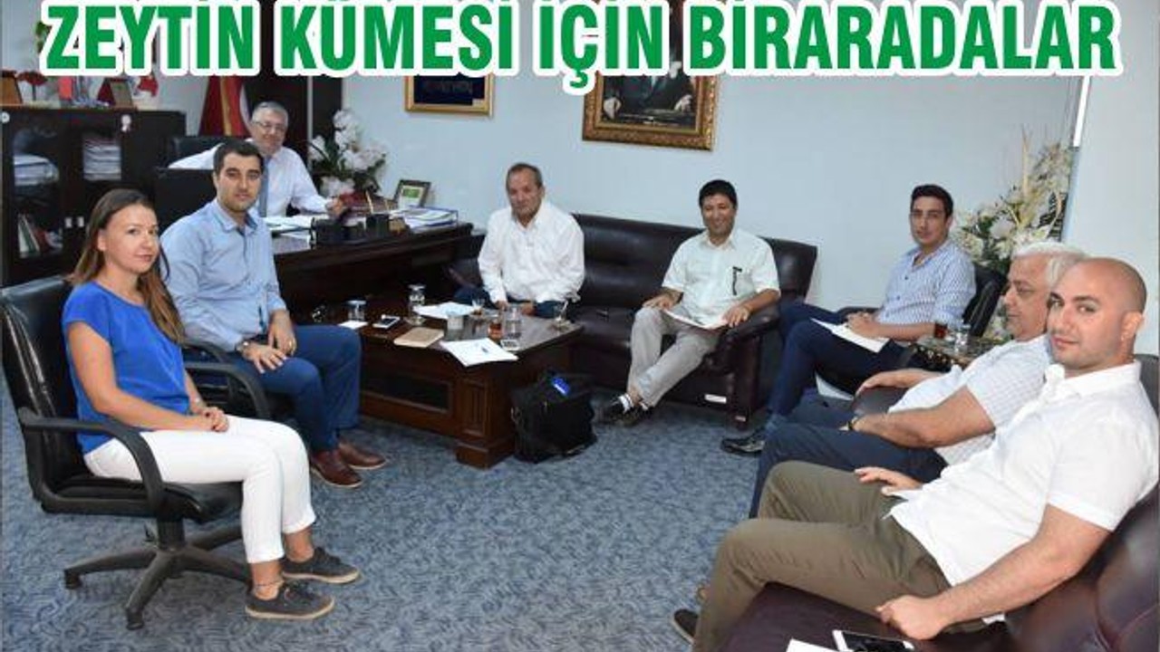 ZEYTİN KÜMESİ İÇİN BİRARADALAR