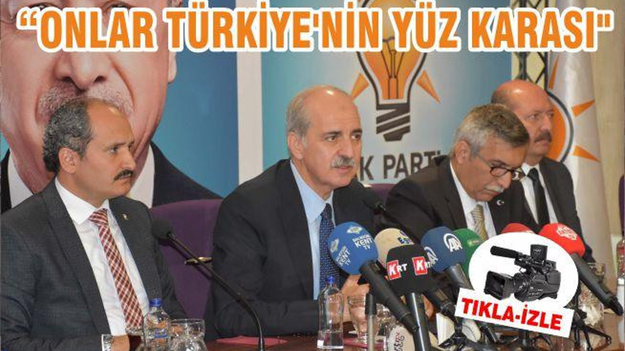 "ONLAR TÜRKİYE'NİN YÜZ KARASI"