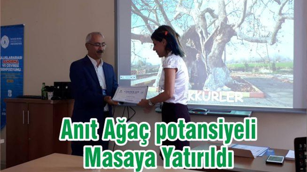 Anıt Ağaç potansiyeli Masaya Yatırıldı