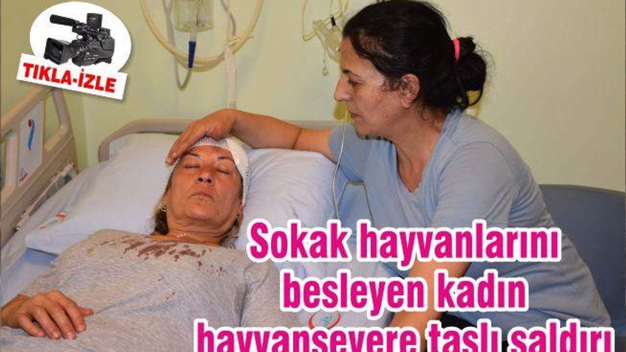 Sokak hayvanlarını besleyen kadın hayvansevere taşlı saldırı