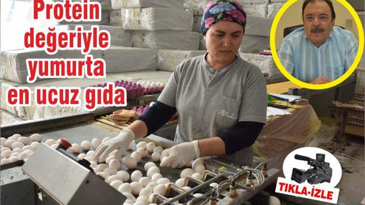 Protein değeriyle yumurta en ucuz gıda