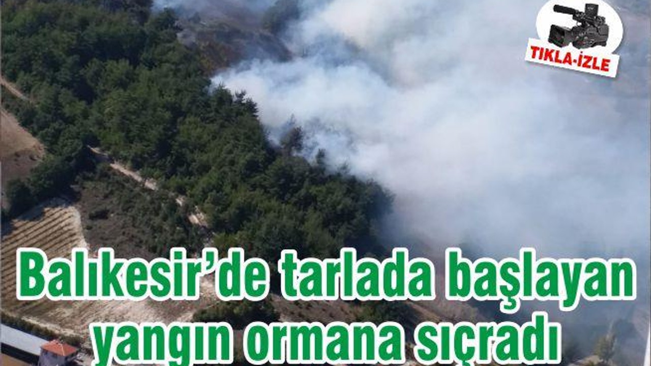 Balıkesir’de tarlada başlayan yangın ormana sıçradı