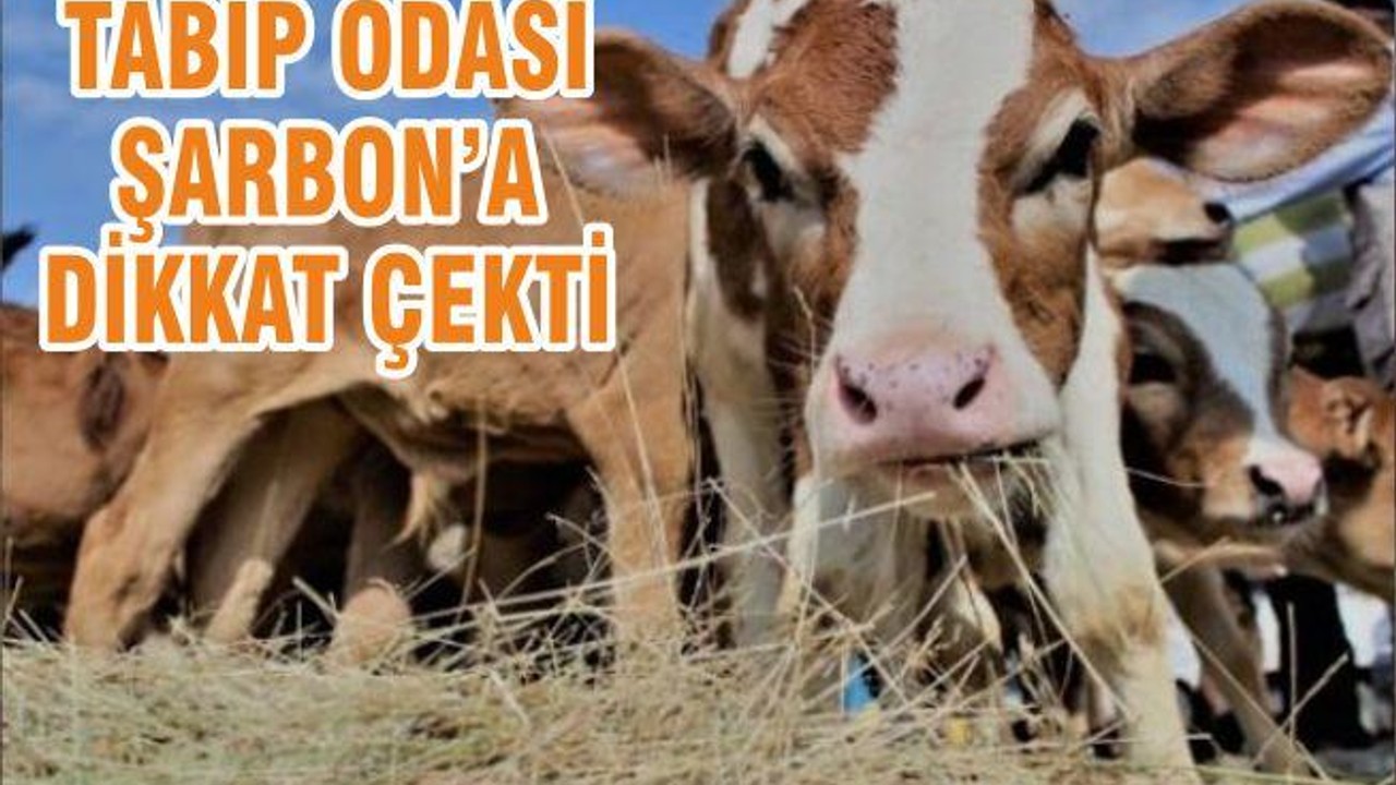 TABİP ODASI ŞARBON’A DİKKAT ÇEKTİ