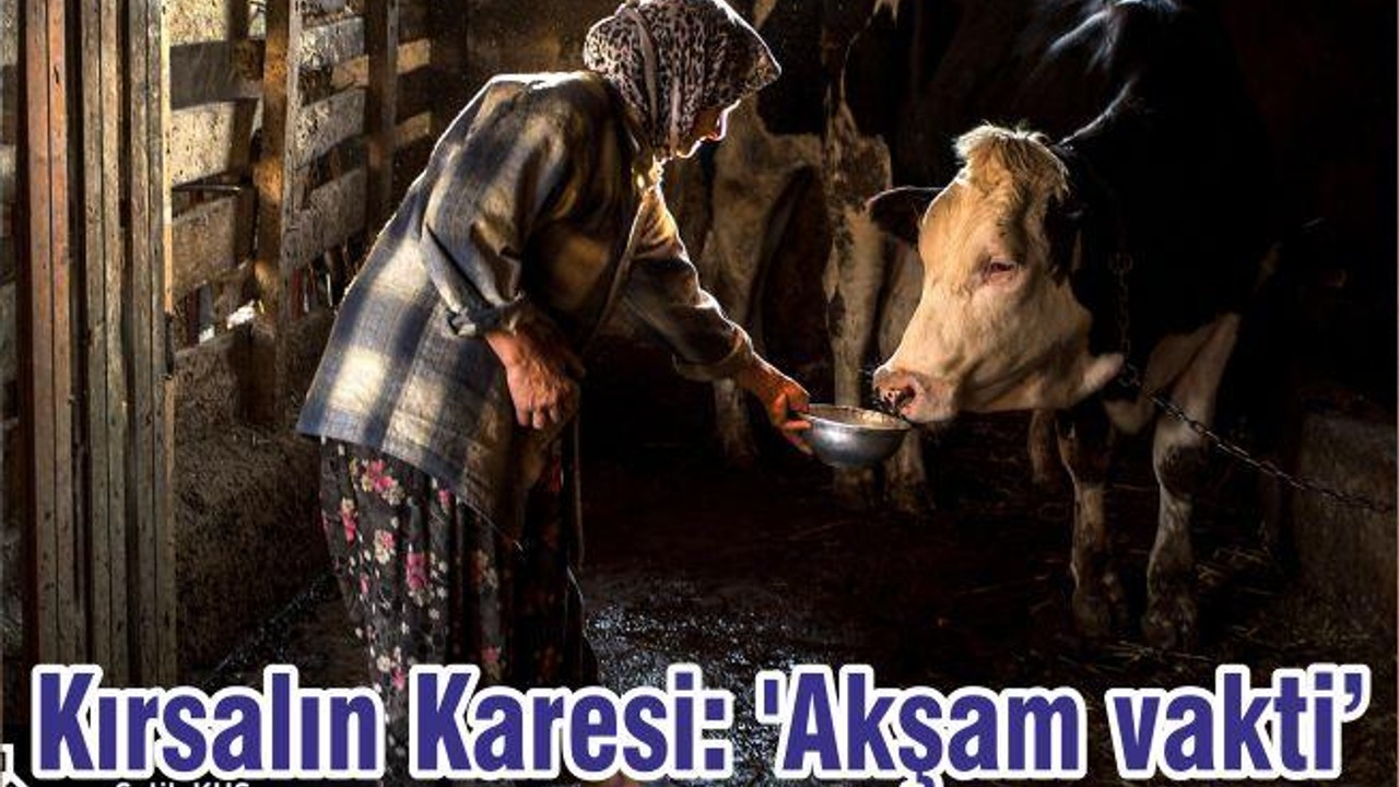 Kırsalın Karesi: 'Akşam vakti'